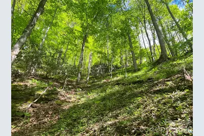 Tbd US 23 Highway, Mars Hill, NC 28754 - Photo 20