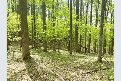 Tbd US 23 Highway, Mars Hill, NC 28754 - Photo 2
