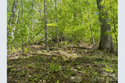 Tbd US 23 Highway, Mars Hill, NC 28754 - Photo 14