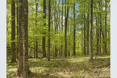 Tbd US 23 Highway, Mars Hill, NC 28754 - Photo 1