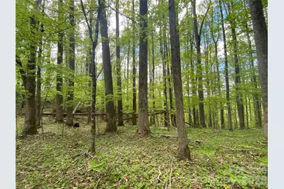 Tbd US 23 Highway, Mars Hill, NC 28754 - Photo 4