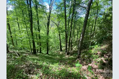 Tbd US 23 Highway, Mars Hill, NC 28754 - Photo 18