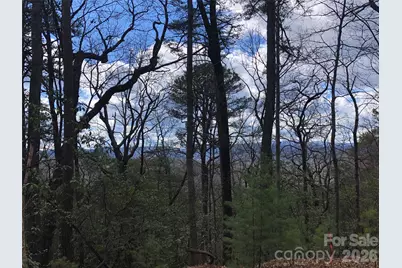 Tbd Bobcat Mountain Road #21, Purlear, NC 28665 - Photo 12