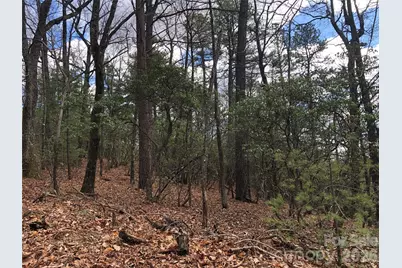 Tbd Bobcat Mountain Road #21, Purlear, NC 28665 - Photo 2