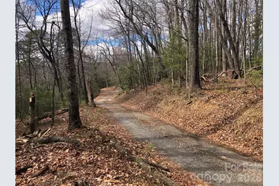 Tbd Bobcat Mountain Road #21, Purlear, NC 28665 - Photo 6