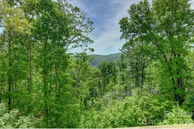 491 High Top Drive, Fletcher, NC 28732 - Photo 32