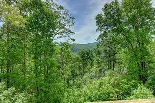491 High Top Dr, Fletcher, NC 28732 - Photo 32