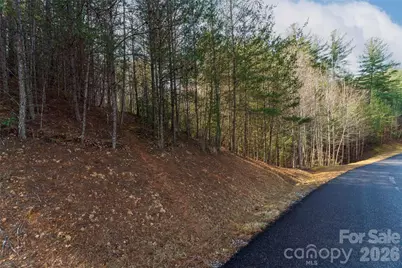 265 Harborside Drive #250, Nebo, NC 28761 - Photo 4