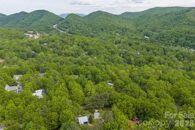 14 Locust Street, Black Mountain, NC 28711 - Photo 44