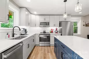 14 Locust St, Black Mountain, NC 28711 - Photo 12