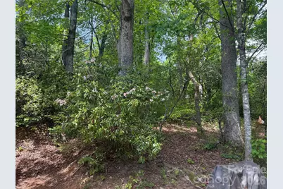 39 Lisa Court #11, Otto, NC 28763 - Photo 24