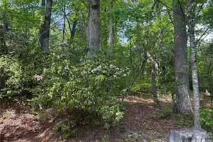 39 Lisa Ct, Otto, NC 28763 - Photo 24