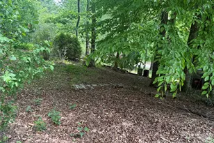 39 Lisa Ct, Otto, NC 28763 - Photo 20
