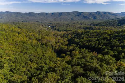 360 Banjo Branch Road, Burnsville, NC 28714 - Photo 46