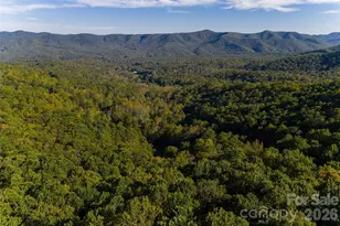 360 Banjo Branch Rd, Burnsville, NC 28714 - Photo 46