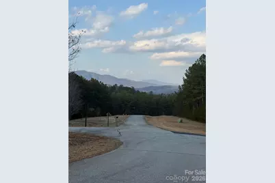 109 Spring Hollow Road, Lake Lure, NC 28746 - Photo 2