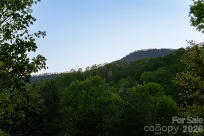 2159 North Fork Right Fork Road, Black Mountain, NC 28711 - Photo 46