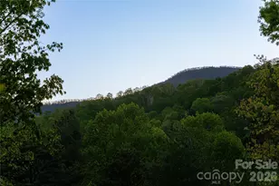 2159 N Fork-Right Fork Rd, Black Mountain, NC 28711 - Photo 46