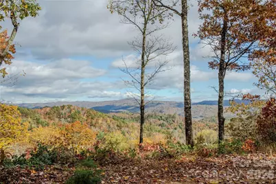 195 Still Waters Lane, Brevard, NC 28712 - Photo 2
