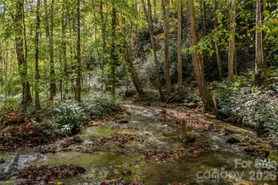 195 Still Waters Lane, Brevard, NC 28712 - Photo 16