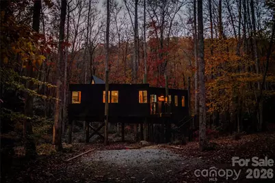195 Still Waters Lane, Brevard, NC 28712 - Photo 34