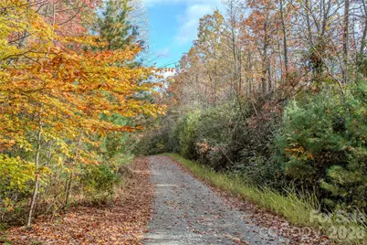 195 Still Waters Lane, Brevard, NC 28712 - Photo 44