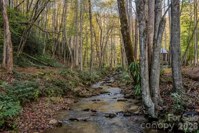195 Still Waters Lane, Brevard, NC 28712 - Photo 42