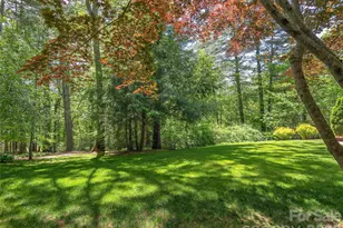 81 Old Gap Creek Rd, Fairview, NC 28730 - Photo 36
