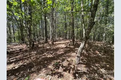 3227 Ella Marie Way, Nebo, NC 28761 - Photo 8