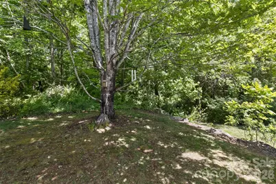55 Stonebridge Drive, Asheville, NC 28805 - Photo 36