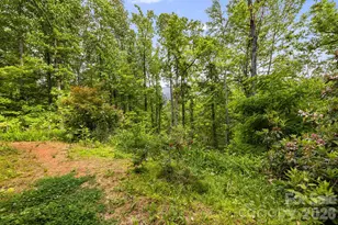 107 Mercy Ridge None, Sylva, NC 28779 - Photo 44