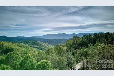 262 Azalea Hills Lane, Spruce Pine, NC 28777 - Photo 8
