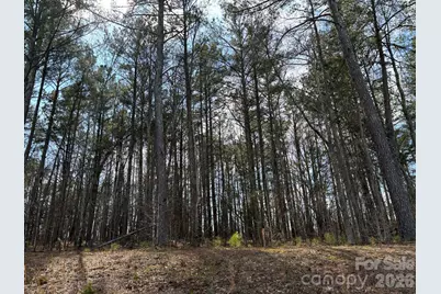 267 Brooks Springs Drive, Fort Mill, SC 29708 - Photo 30
