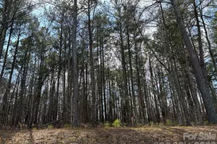 267 Brks Spgs Dr, Fort Mill, SC 29708 - Photo 30