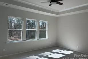 267 Brks Spgs Dr, Fort Mill, SC 29708 - Photo 16