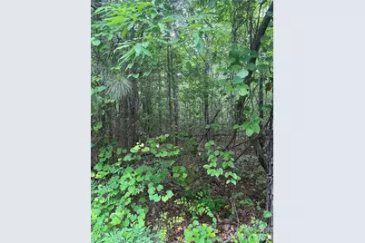 2426 Ore Bank Road, Smyrna, SC 29743 - Photo 4