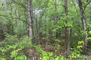 2426 Ore Bank Rd, Smyrna, SC 29743 - Photo 1