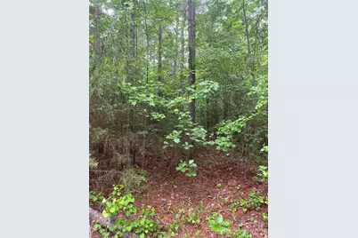 2426 Ore Bank Road, Smyrna, SC 29743 - Photo 6