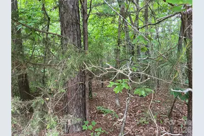 2426 Ore Bank Road, Smyrna, SC 29743 - Photo 2