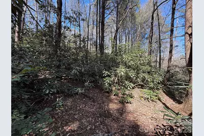 000 Kings Glen Road, Old Fort, NC 28762 - Photo 44