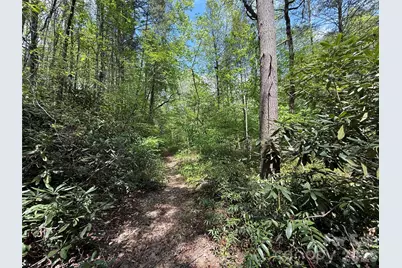 000 Kings Glen Road, Old Fort, NC 28762 - Photo 12