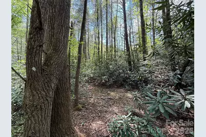 000 Kings Glen Road, Old Fort, NC 28762 - Photo 8