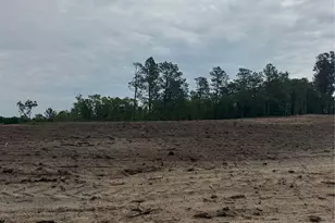 Lot C Bailey Sawmill Rd, Ruby, SC 20741 - Photo 1