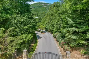 50 Meadow Village Ln, Asheville, NC 28803 - Photo 46
