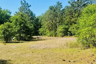 773 Beaverdam Church Rd, Rockingham, NC 28379 - Photo 12