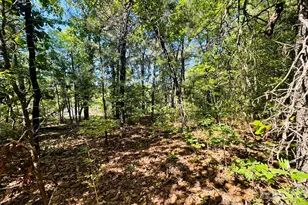 773 Beaverdam Church Rd, Rockingham, NC 28379 - Photo 18