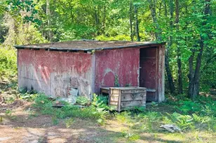 773 Beaverdam Church Rd, Rockingham, NC 28379 - Photo 14