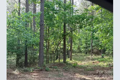 0 Morrow Motor Road, Forest City, NC 28043 - Photo 6