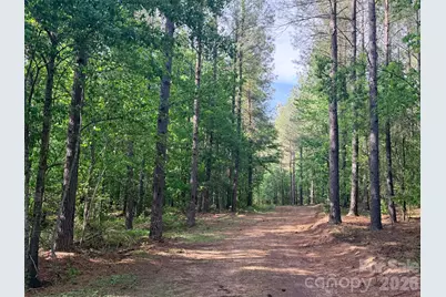 0 Morrow Motor Road, Forest City, NC 28043 - Photo 8