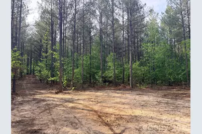 0 Morrow Motor Road, Forest City, NC 28043 - Photo 14